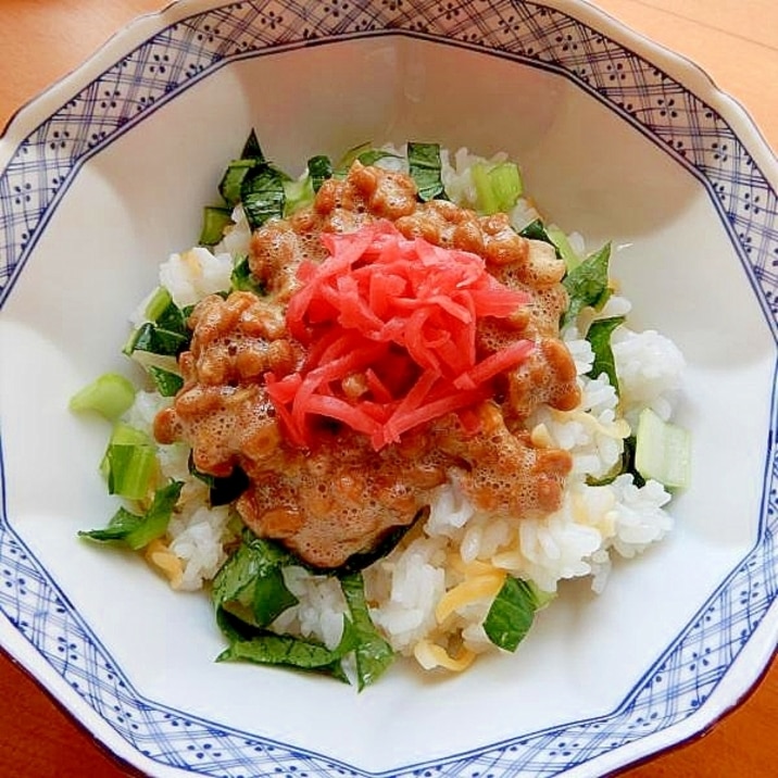 4分!?+チーズ❤小松菜で納豆ご飯(丼物)♪